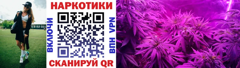 Как найти закладки Звенигово blacksprut зеркало Конопля Меф мяу мяу ГАШ Alpha PVP Бутират
