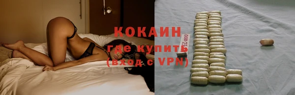 сатива Вяземский