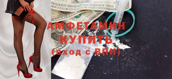сатива Вяземский