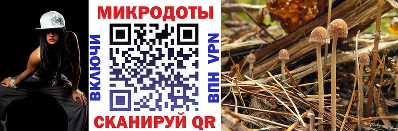 купить   Звенигово  Псилоцибиновые грибы GOLDEN TEACHER 